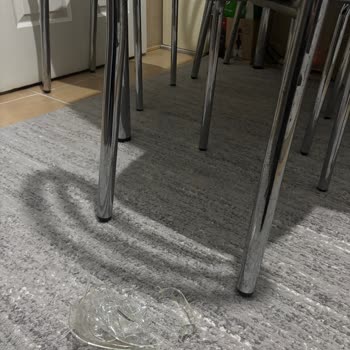 Zwilling Latte Bardağının Düşüşte Parçalanması Ve Ücretsiz Değişim Talebi