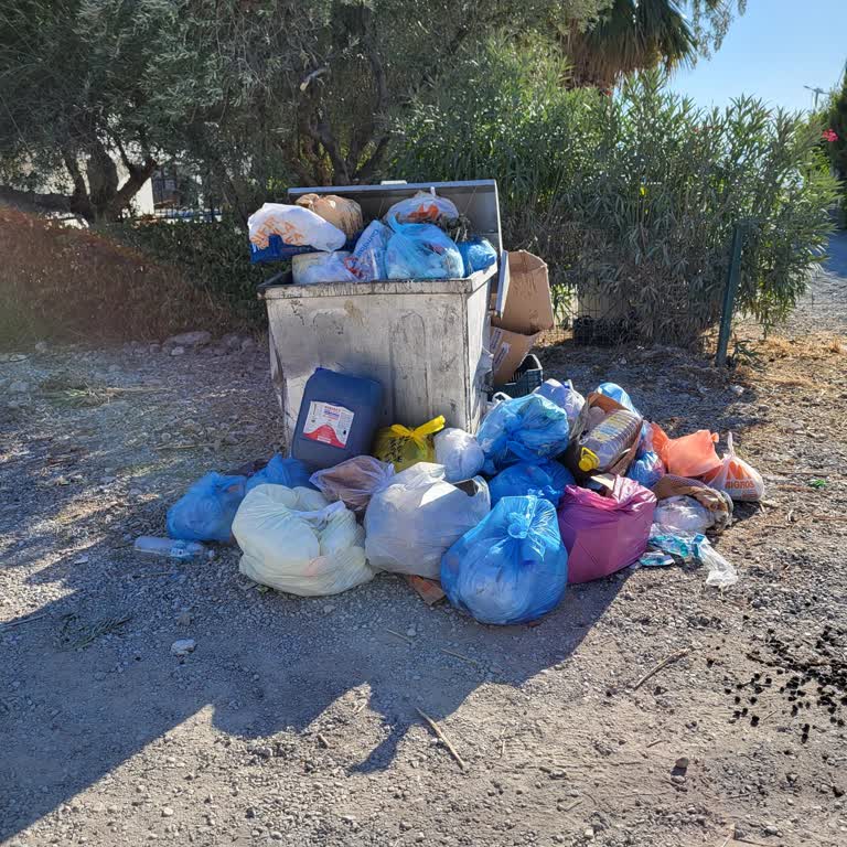 Ayvalık Güzelbahçe Evleri Çöp Konteynerlerinde Hijyen Krizi Ve Belediyeye Acil Çözüm Talebi