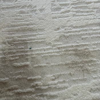 Ateş Halı Yıkama Fabrikasında Yıkama Sonrası Beliren Lekeler Ve Çözüm Bekleyişi