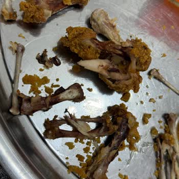 Mardin Mall Popeyes Şubesinde Yüksek Fiyatlı Bozuk Ürün Ve Cevapsız İletişim