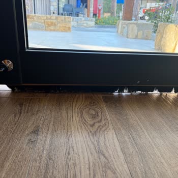 Raid Ücretli Konaklamada Haşere Ve Temizlik Sorunları