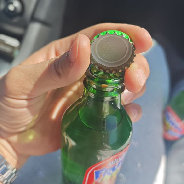 Paslanmış Kapaklı Frutti Meyveli Maden Suyu Satışı