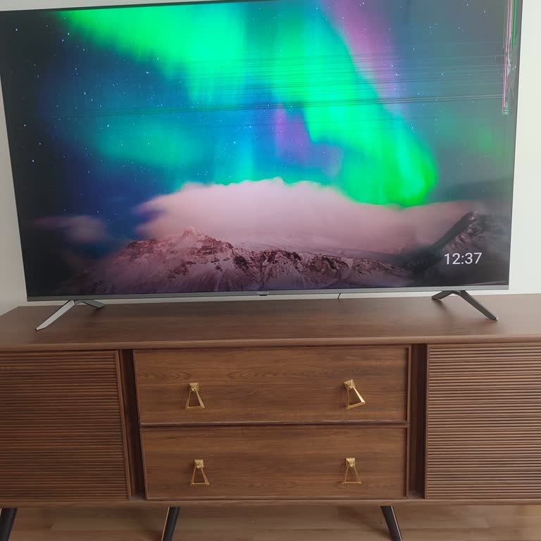 Sigortasız Taşıma, Fazla Ücret Ve TV Hasarı