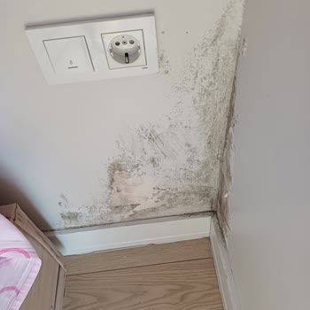 Küf Ve Rutubet Sorunu Nedeniyle Çocuk Sağlığı Tehlikede: Kalıcı Çözüm Ve Tazminat Talebi