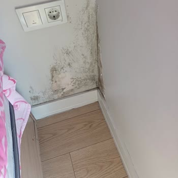Küf Ve Rutubet Sorunu Nedeniyle Çocuk Sağlığı Tehlikede: Kalıcı Çözüm Ve Tazminat Talebi