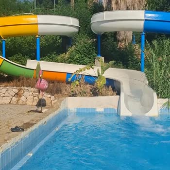 Mavi Su Aqualand’da Hijyen Ve Güvenlik Sorunları Nedeniyle Ücret İadesi Talebi