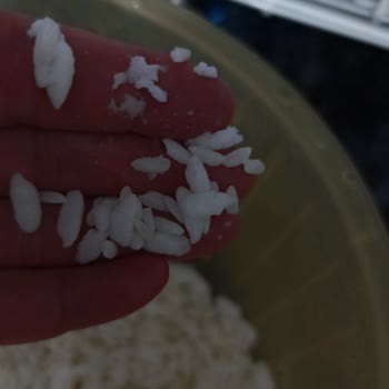 Yayla Baldo Pirinçinde Karışık Taneler Ve Eritilen Parçalar