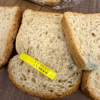 Küflü Tam Buğday Ekmeği Satışı Tüketiciyi Tehdit Ediyor
