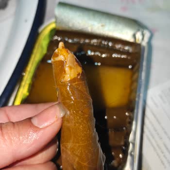 Zeytinyağlı Yaprak Sarma İçinde Saç Teli Bulundu
