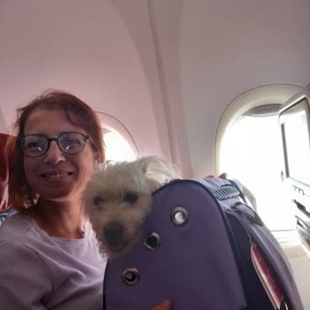 Ajet’te Köpek Çantası Onayı Reddi Ve Uçuş İptali