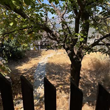 İlanla Gerçek Durum Arasındaki Uyuşmazlık Nedeniyle Tam İade Talebi