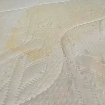 Kapora Ödendi, Bungalov Dolu Ve Hijyen Sorunları