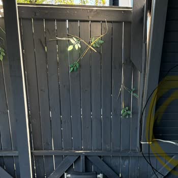 Kapora Ödendi, Bungalov Dolu Ve Hijyen Sorunları