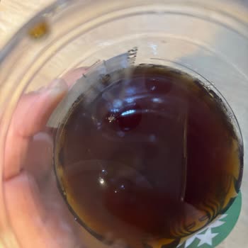 Starbucks Görükle Şubesinde Yabancı Madde Bulunan Buzlu Americano Ve Cevapsız Şikayet