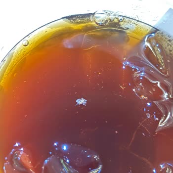 Starbucks Görükle Şubesinde Yabancı Madde Bulunan Buzlu Americano Ve Cevapsız Şikayet