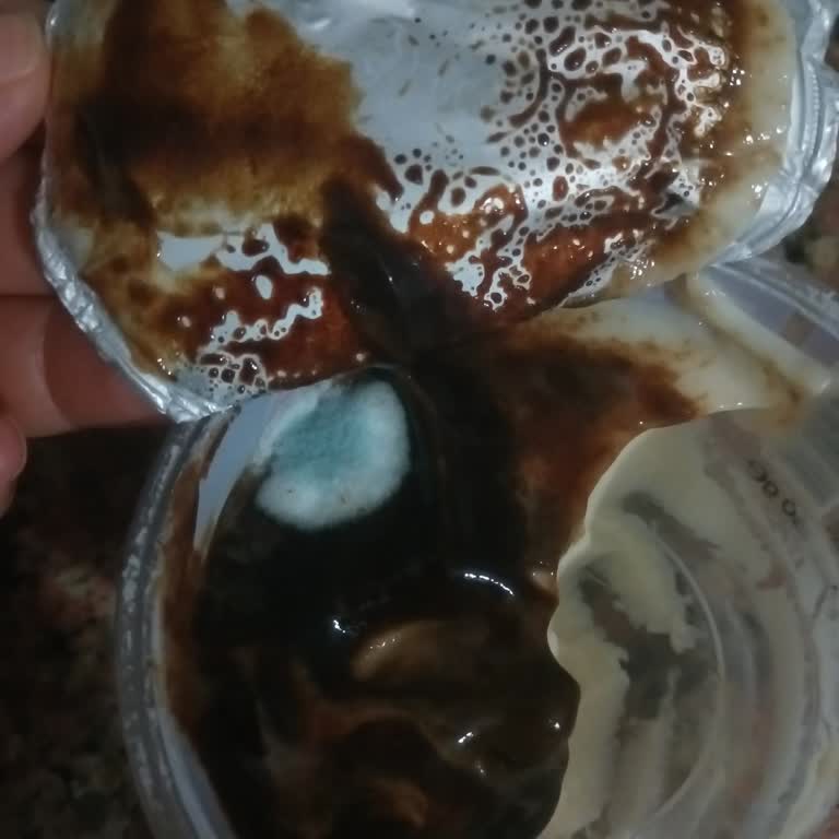 Eker Kazandibi Üzerinde Küf Tespiti Ve Sağlık Endişesi