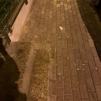 Kaptan Sokakta Çöp Kutusu Yetersizliği Ve Temizlik Sorunu