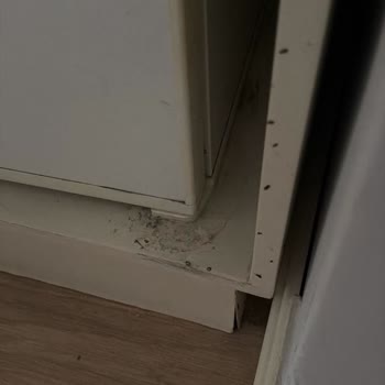 Oda Hijyeninde Ciddi Sorunlar Ve Çocuk Koltuğu Eksikliği