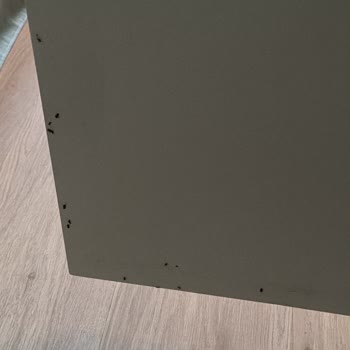 Oda Hijyeninde Ciddi Sorunlar Ve Çocuk Koltuğu Eksikliği