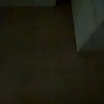 Oda Hijyeninde Ciddi Sorunlar Ve Çocuk Koltuğu Eksikliği