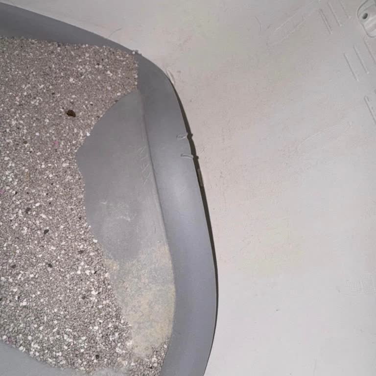 Xenon Smart Akıllı Kedi Tuvaleti Kum Pedi Sorunu Ve Değişim Talebi