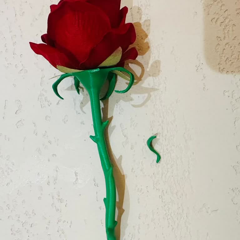 Ayıplı 3D Baskı Gül Lamba Ve İade Talebi