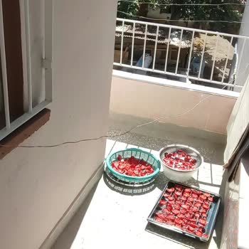 Kısa Ve Engel Oluşturan Kablo İçin Ücretsiz Uzatma Talebi
