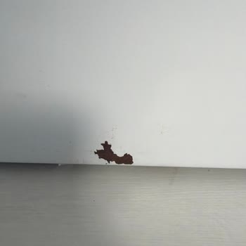 Boya Atması Ve Paslanma Nedeniyle Garanti Kapsamında Ücretsiz Parça Değişimi Talebi
