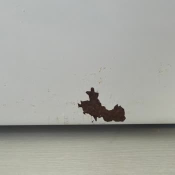 Boya Atması Ve Paslanma Nedeniyle Garanti Kapsamında Ücretsiz Parça Değişimi Talebi