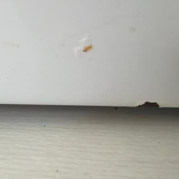 Boya Atması Ve Paslanma Nedeniyle Garanti Kapsamında Ücretsiz Parça Değişimi Talebi