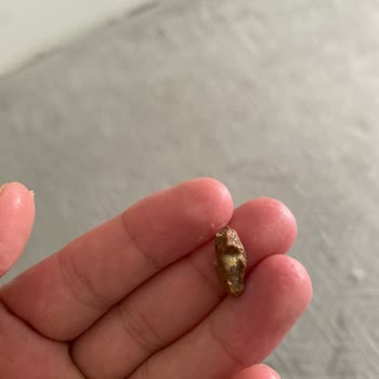 BİM Serel Antep Fıstıklı Tahin Helvasında Taş Tespiti