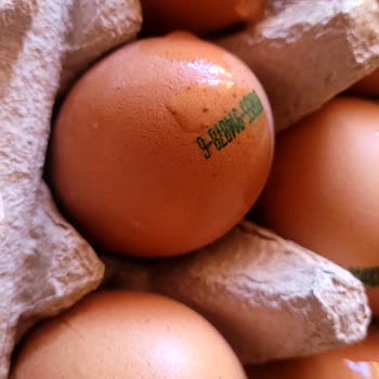 Tazedirekt'ten Bozuk Meyve, Sebze Ve Kırık Yumurta Şikayeti