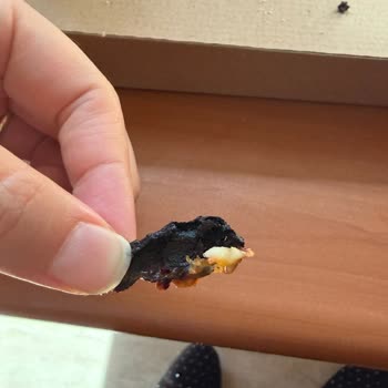 Sbarro'dan Gelen Yanmış Ve Tavuksuz Pizza İçin Ücret İadesi Talebi