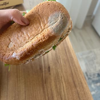 Tarihi Geçmiş Ve Küflü Ekmeği İçeren Market Üzerine Şikayet