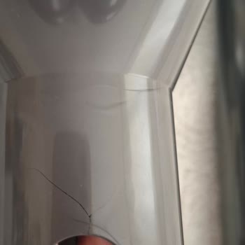Dyson V8 Süpürge Uç Bölümündeki Çatlak İçin Ücretsiz Değişim Talebi