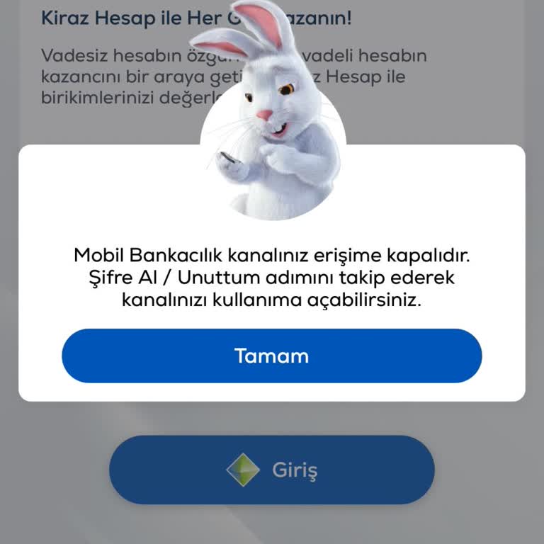 Vadesiz Hesabım Kapandı, 100 TL Bakiyemi Uzaktan İade Edilmesini Talep Ediyorum