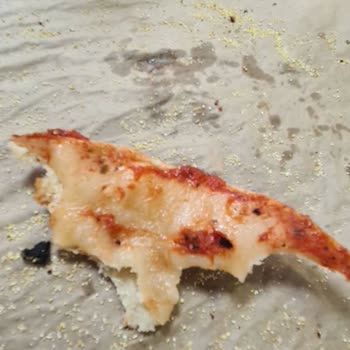 195 TL'lik Ücret İçin Kalitesiz Pizza Ve Kötü Şube Yönetimi