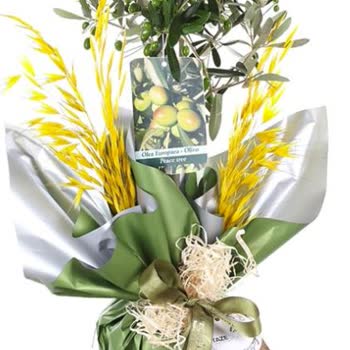 Beklenen 60 cm Zeytin Ağacı Yerine 30 cm Gelen Ve Çikolata Eksikliği İçin İade Talebi