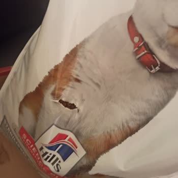 Petlebi’nin Tekrar Eden Ambalaj Sorunu Kedimi Tehlikeye Atıyor