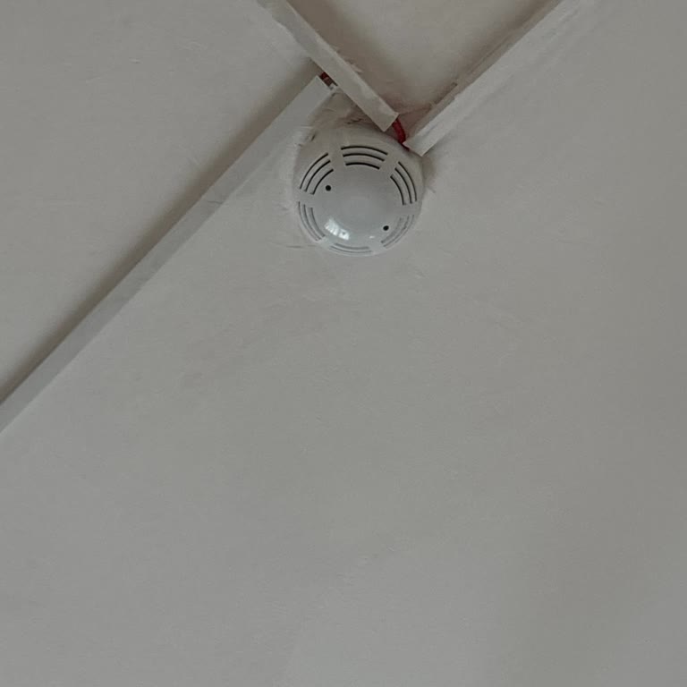 Gecikmeli Oda Teslimi, Yanıltıcı Havuz Bilgisi Ve Çalışmayan Yangın Dedektörleri