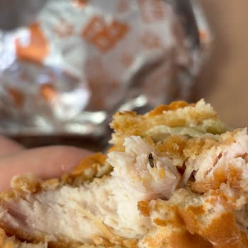 Popeyes İzmir Şubesinde Tavuk Burgerde Böcek Bulundu, Sağlık Sorunu Yaşandı