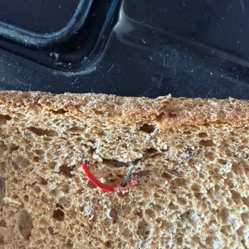 UNO Ekmekte Metal Parça Ve Ciddi Gıda Güvenliği Sorunu
