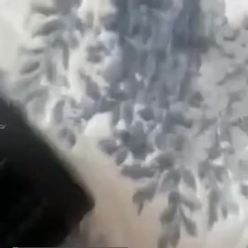 Dyson Başlıkları Bozuk Ve Kullanılmayacak Durumda! Kimse Yardımcı Olmuyor!