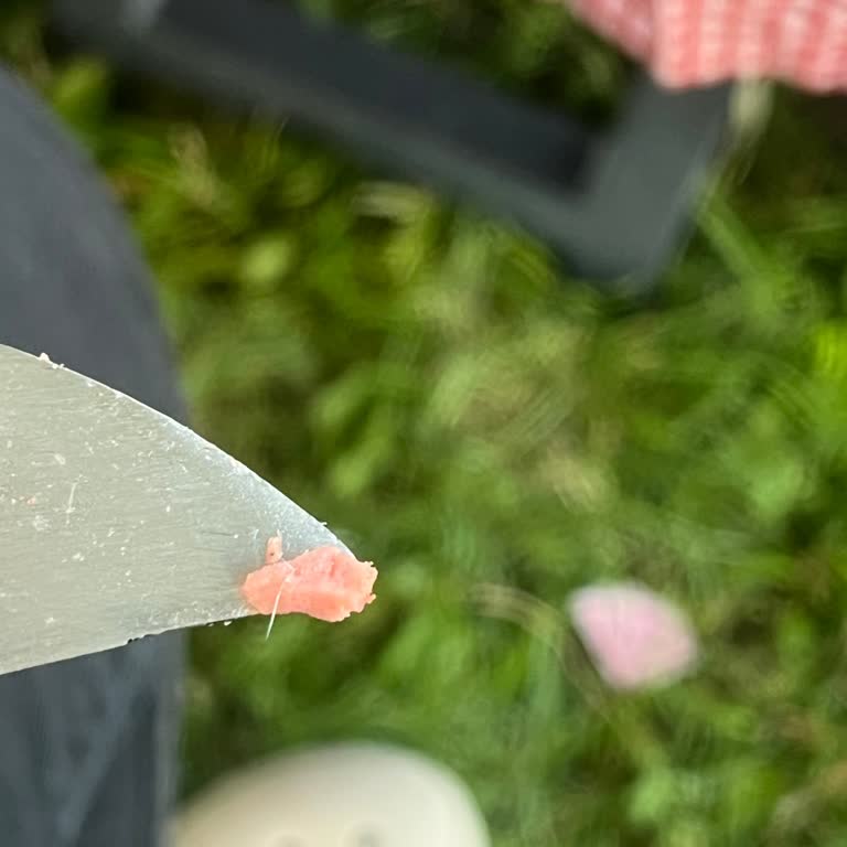 Lezzetli Salamda Kıl Benzeri Yabancı Madde Bulunması Ve Hijyen Endişesi