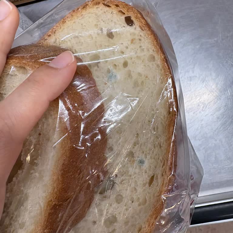Küflü Ekmek Satışı Ve Saygısız Müşteri Hizmetine Karşı Şikayet