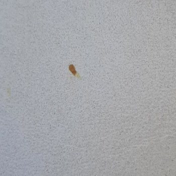 Verilen Sözler Tutulmadı, Aşırı Kalabalık Ve Hijyen Sorunu Nedeniyle İade Talebi
