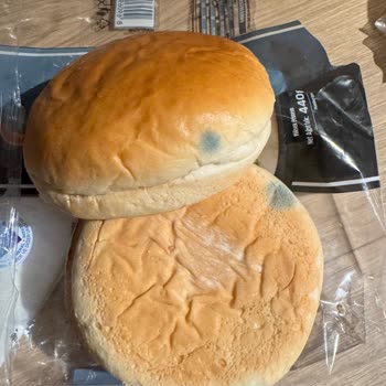 Mavi Küflü Hamburger Ekmeği Satışı, Sağlık Riski Ve Gıda Güvenliği Sorunu