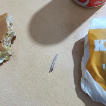 Burger King Ürününde Yabancı Cisim Bulunması Sağlık Endişesi