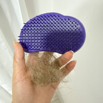 L’Oreal Elseve Color Vive Şampuanı Kullanımından Sonra Şiddetli Saç Dökülmesi Ve Açıklama Talebi