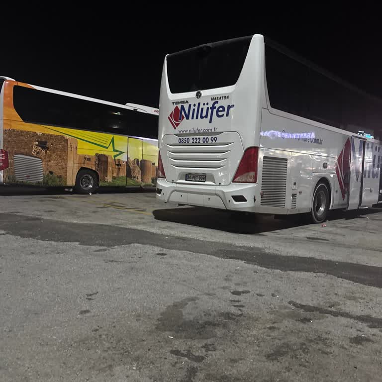 Planlama Sorunu Nedeniyle 12 Saatlik Gecikmeli Otobüs Yolculuğu